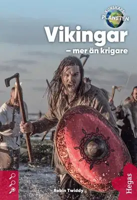 Omslag för Vikingar – mer än krigare 