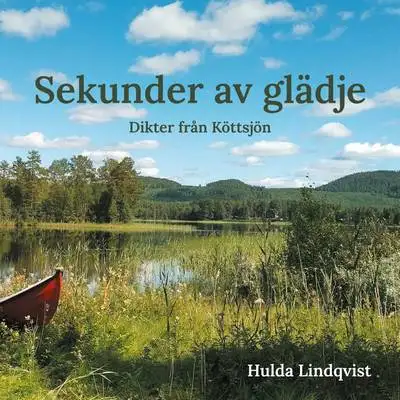 Omslag för Sekunder av glädje 