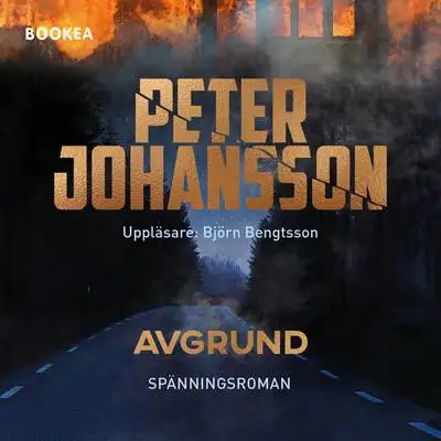 Omslag för Avgrund 