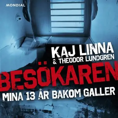 Omslag för Besökaren 