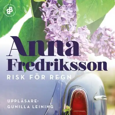Omslag för Risk för regn 