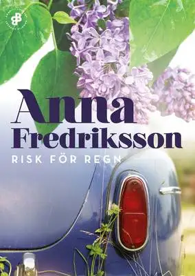 Omslag för Risk för regn