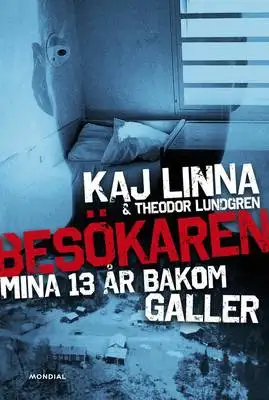 Omslag för Besökaren 