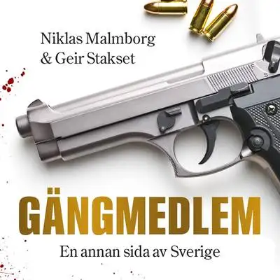 Omslag för Gängmedlem 
