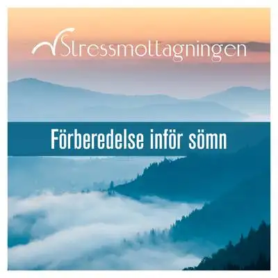 Omslag för Förberedelse inför sömn