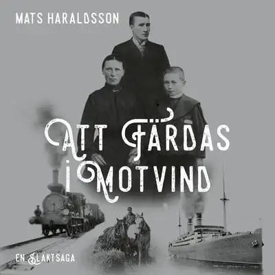 Omslag för Att färdas i motvind 