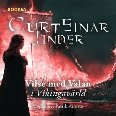 Omslag för Vilse med Valan i Vikingavärld