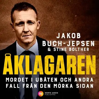 Omslag för Åklagaren – Mordet i ubåten och andra fall från den mörka sidan 