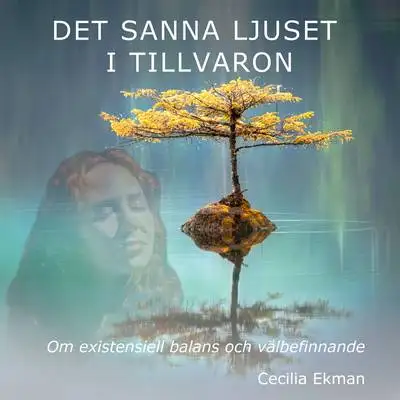 Omslag för Det sanna ljuset i tillvaron 