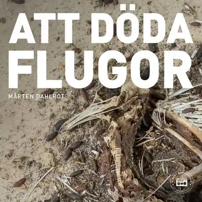 Omslag för Att döda flugor 