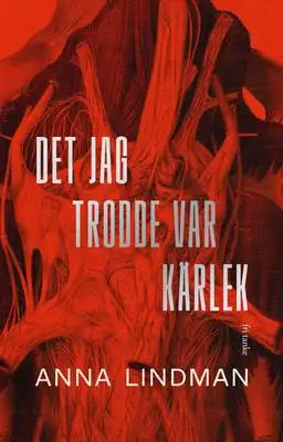 Omslag för Det jag trodde var kärlek 