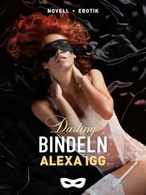 Omslag för Bindeln 