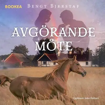 Omslag för Avgörande möte 