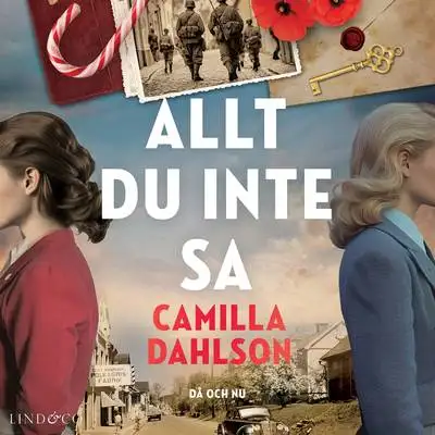 Omslag för Allt du inte sa 