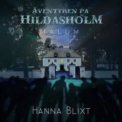 Omslag för Malum 