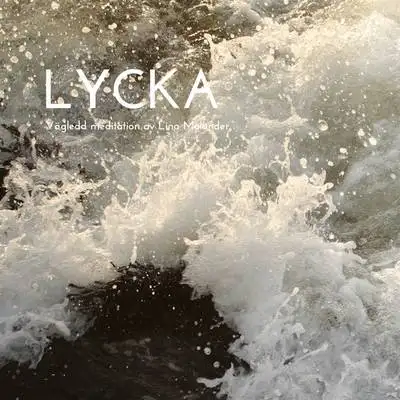 Omslag för Lycka 