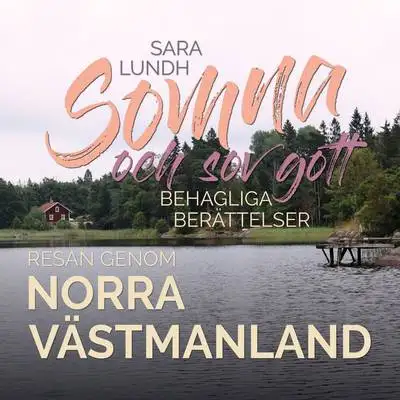 Omslag för Behagliga berättelser 