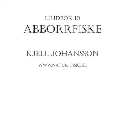 Omslag för Abborrfiske 