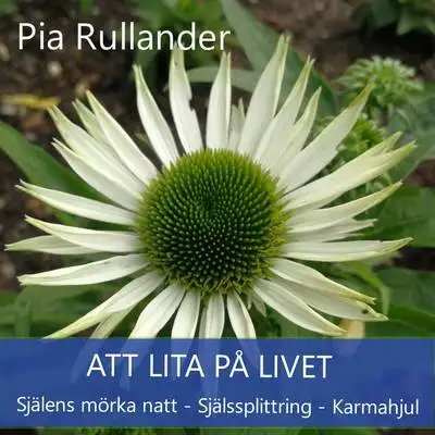 Omslag för Att lita på livet 