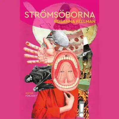 Omslag för Strömsöborna